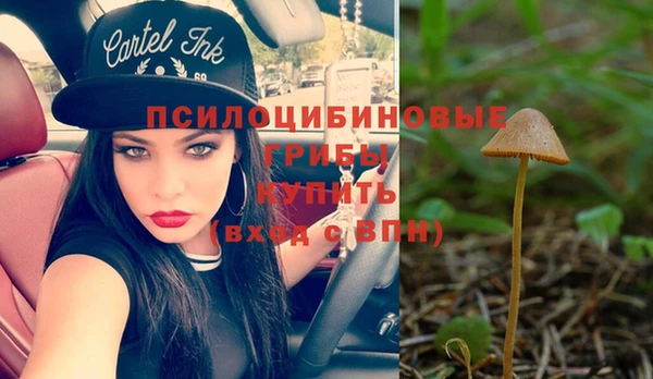 экстази Арсеньев