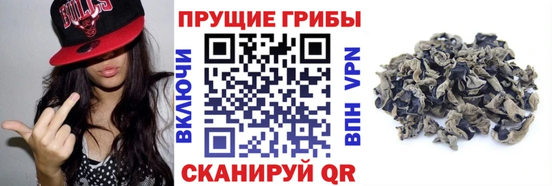 Галлюциногенные грибы MAGIC MUSHROOMS Лянтор